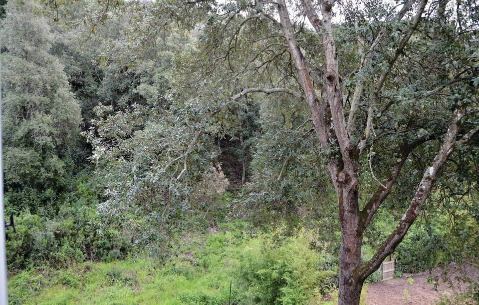 area