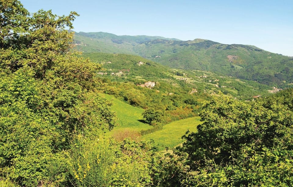 area
