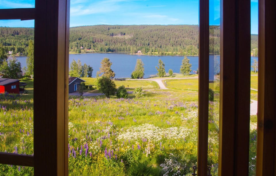 view-from-room