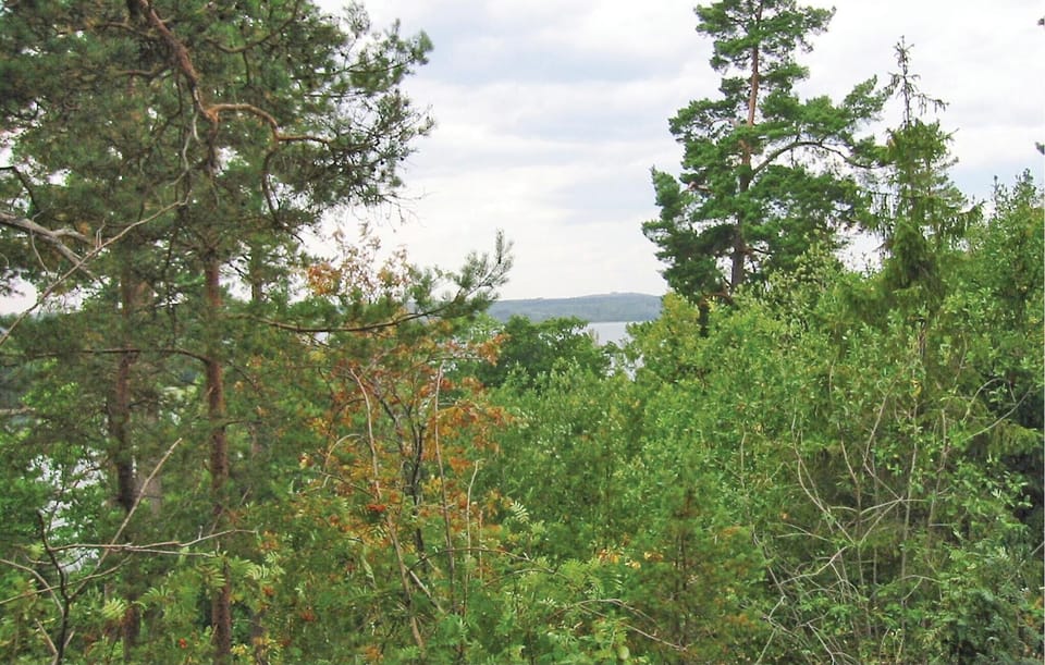 area