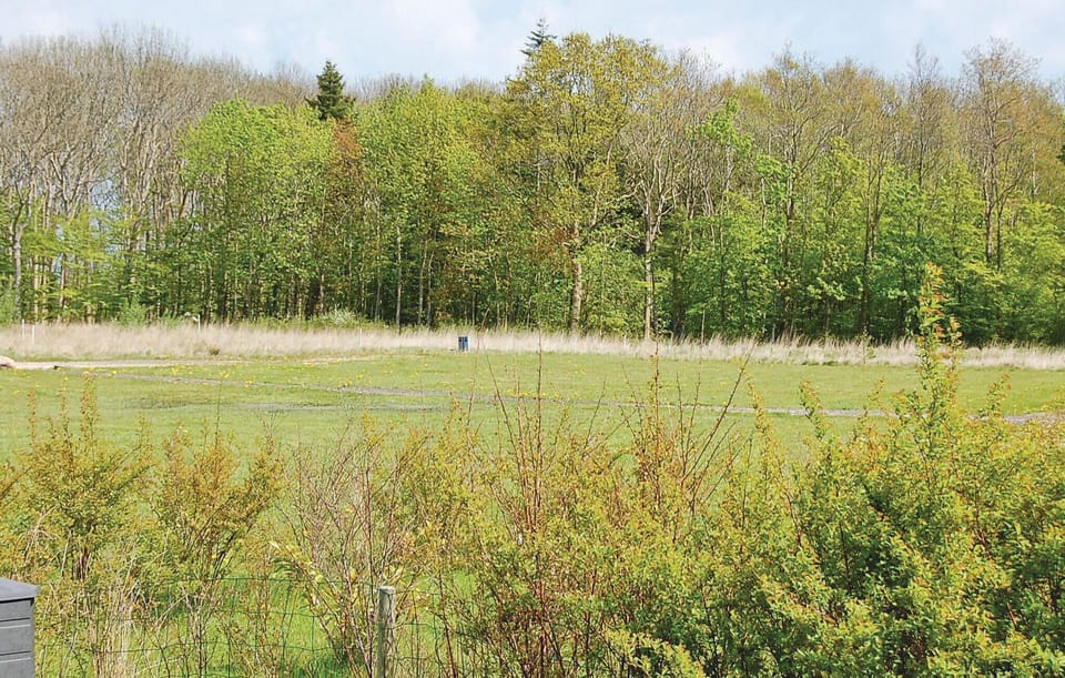 area