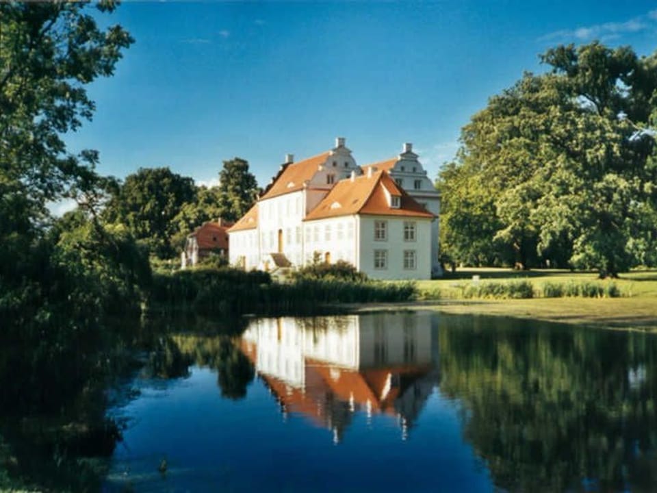 Village house - Manor house Boldevitz / Ferienhaus GbR Castle / Palace in Mecklenburg-Vorpommern, Germany