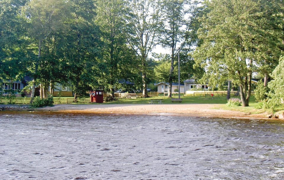 area