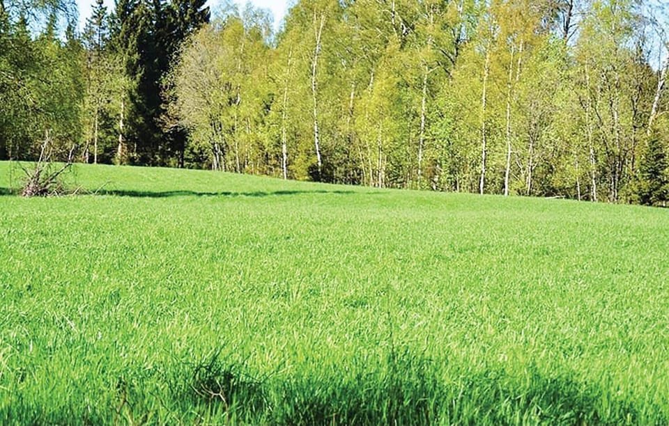 area