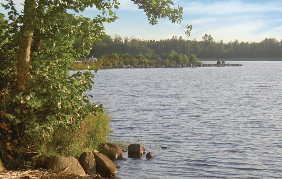 area