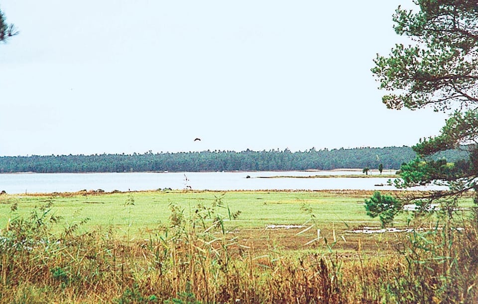 area