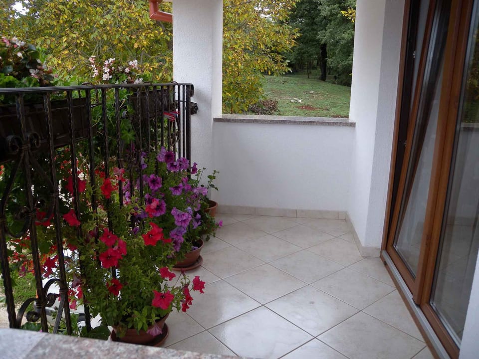 terrace