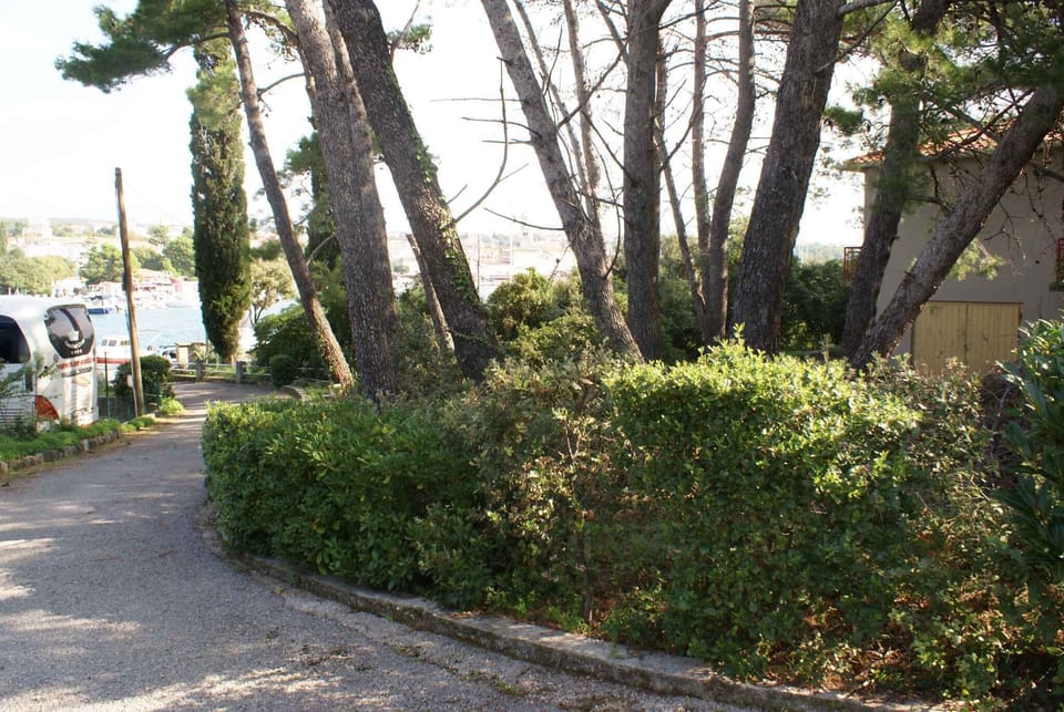 external view