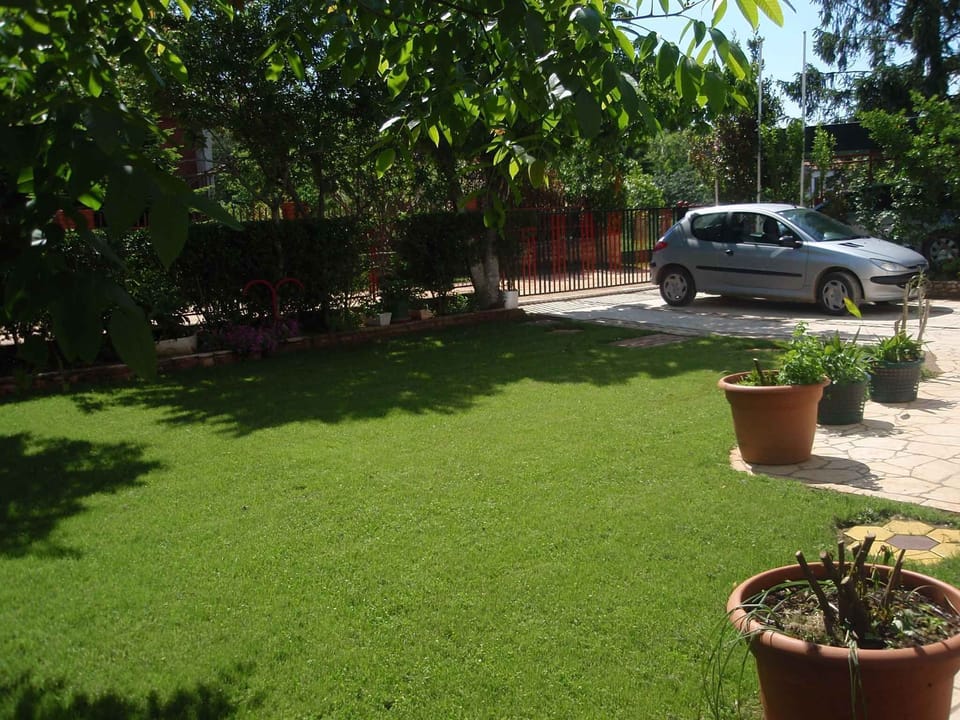 garden