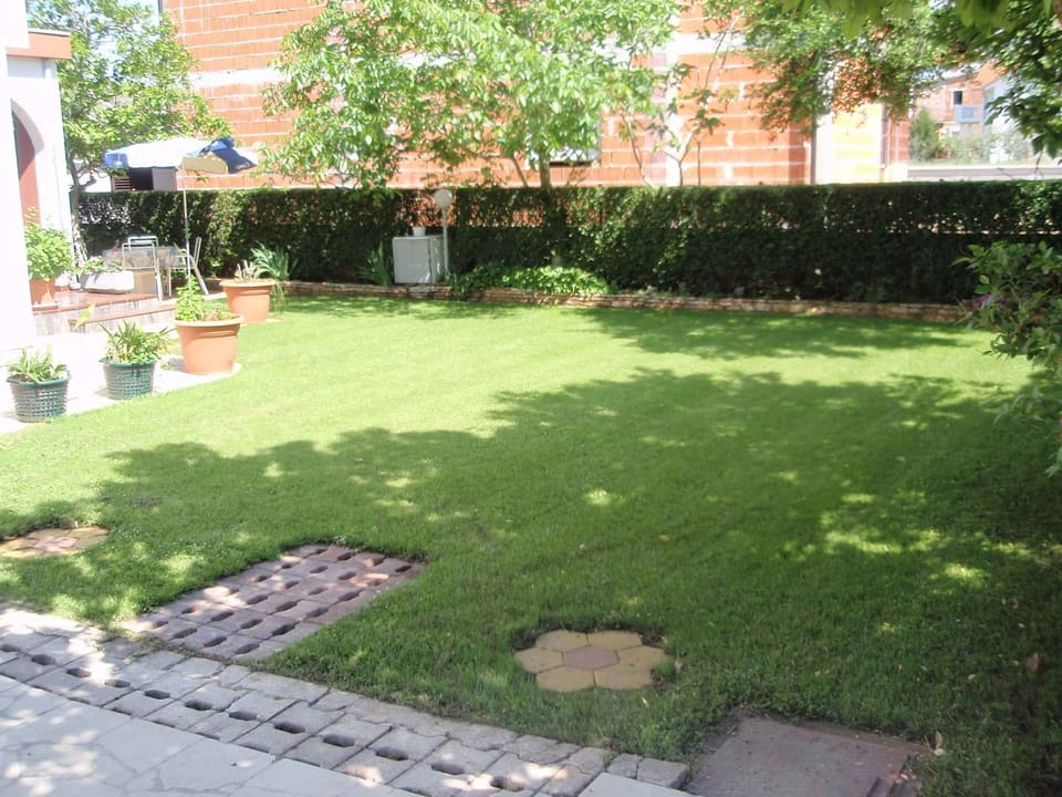 garden
