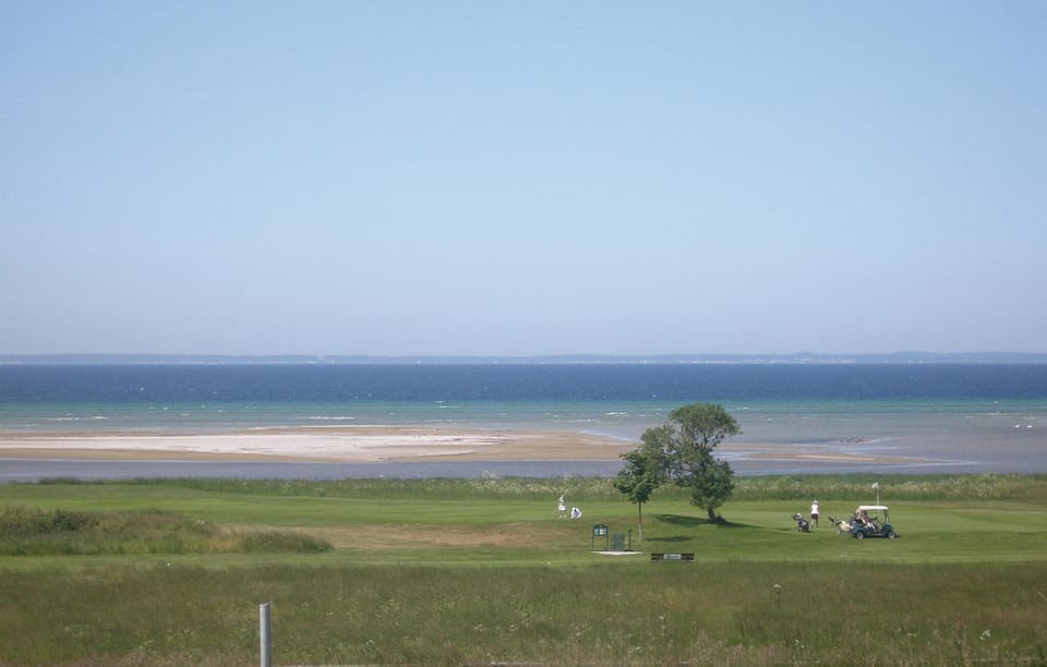 area