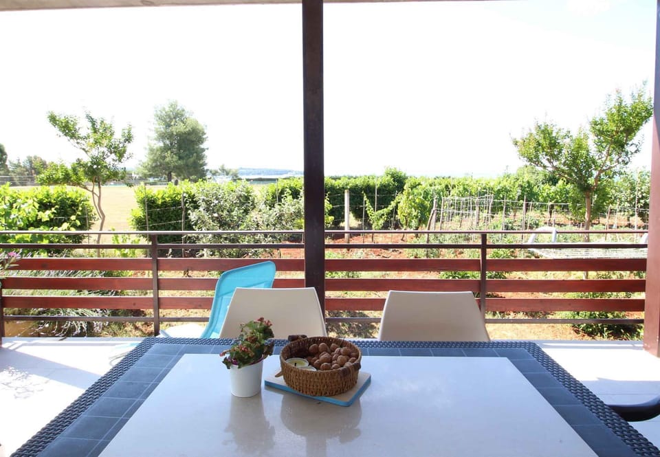 terrace