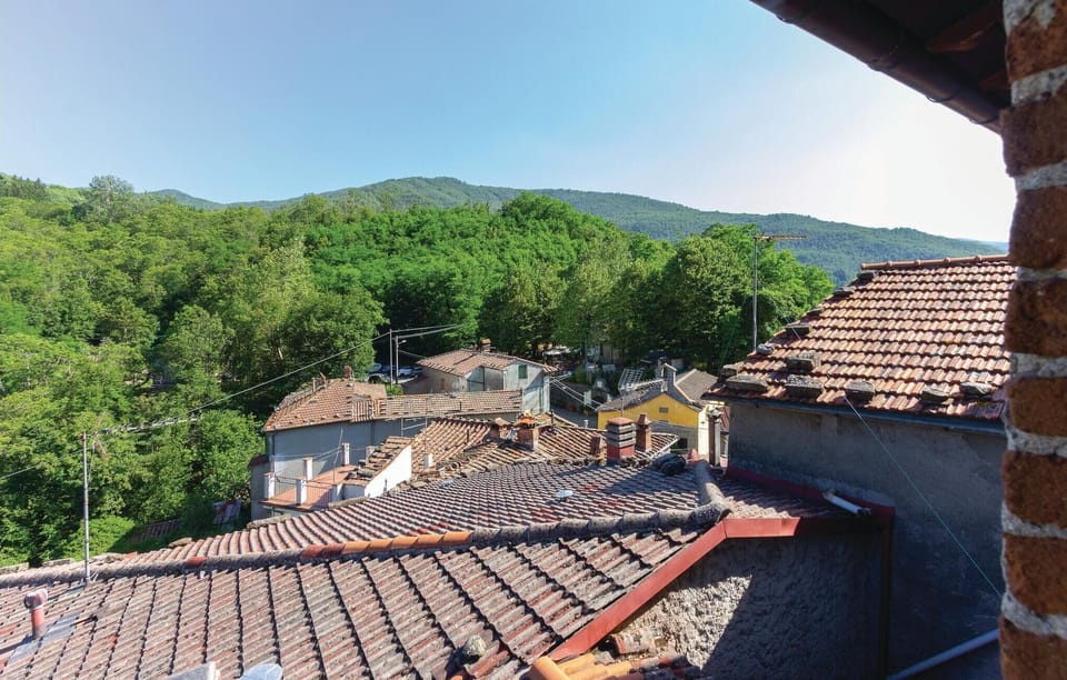 view-from-room