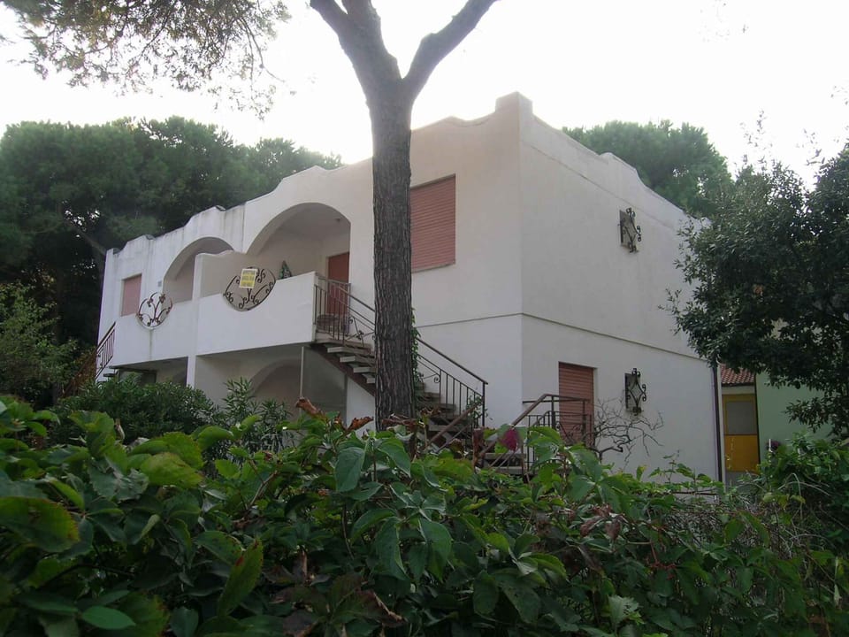 external view