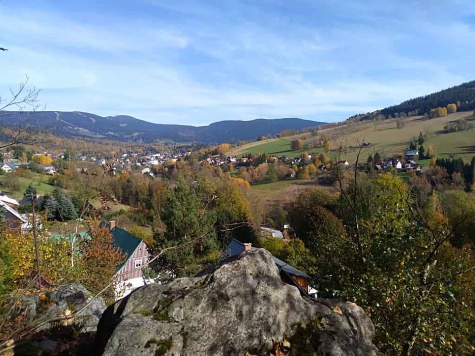 Miscellaneous