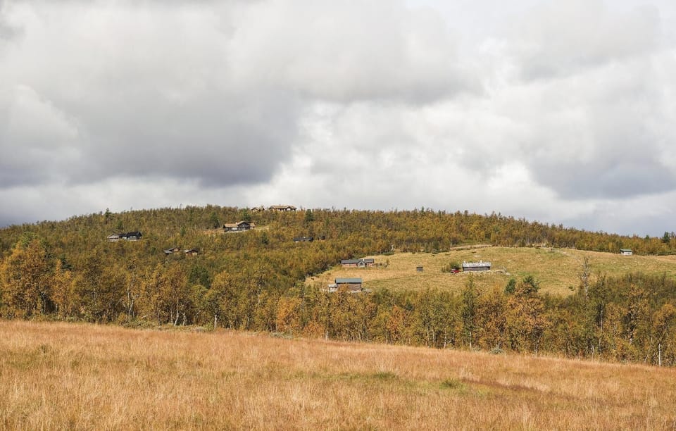 area