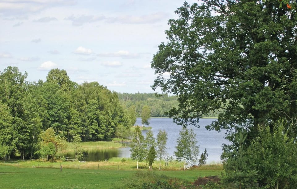 area