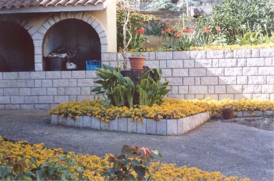 external view
