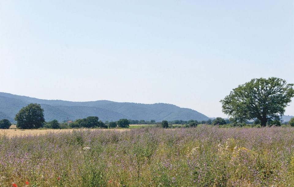 area