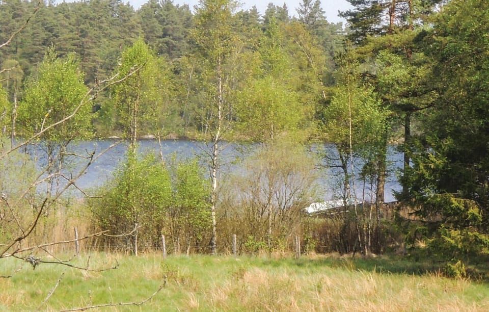 area