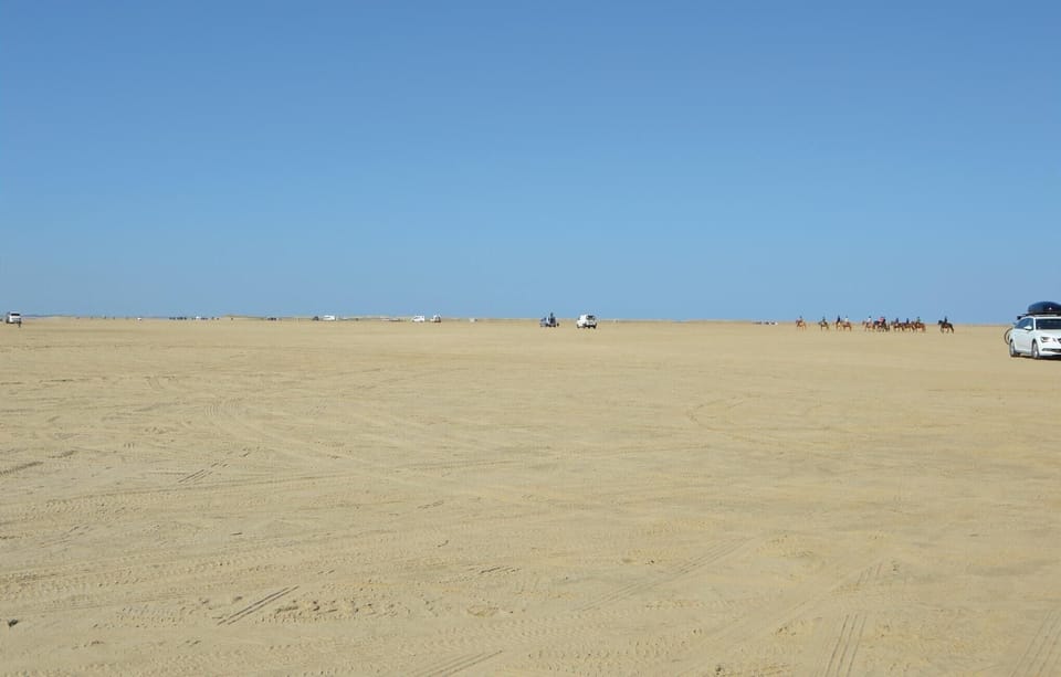 area