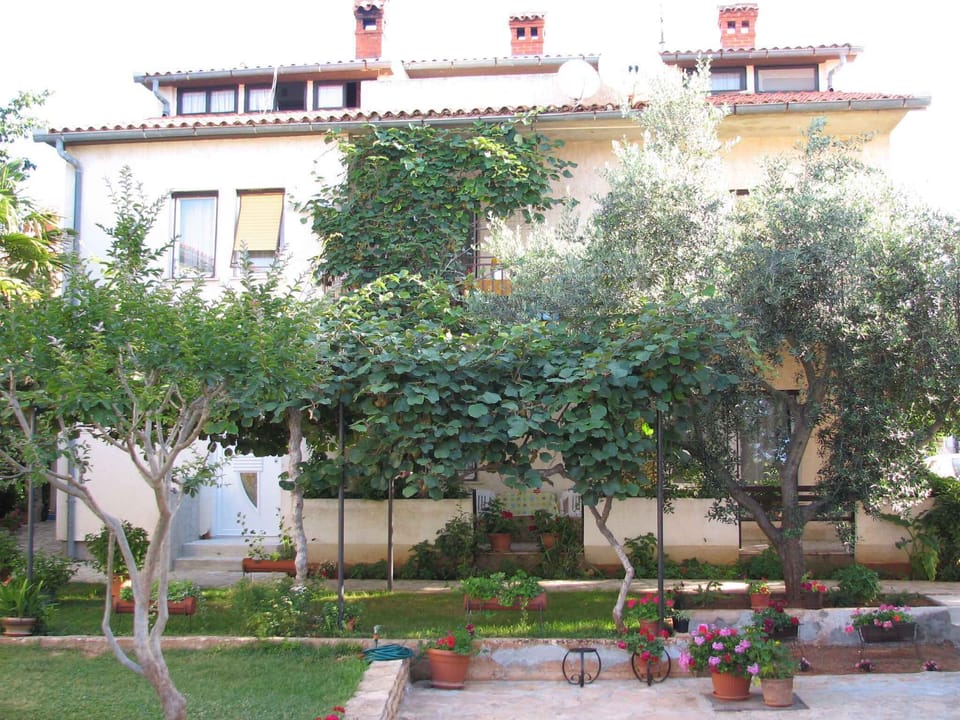 external view