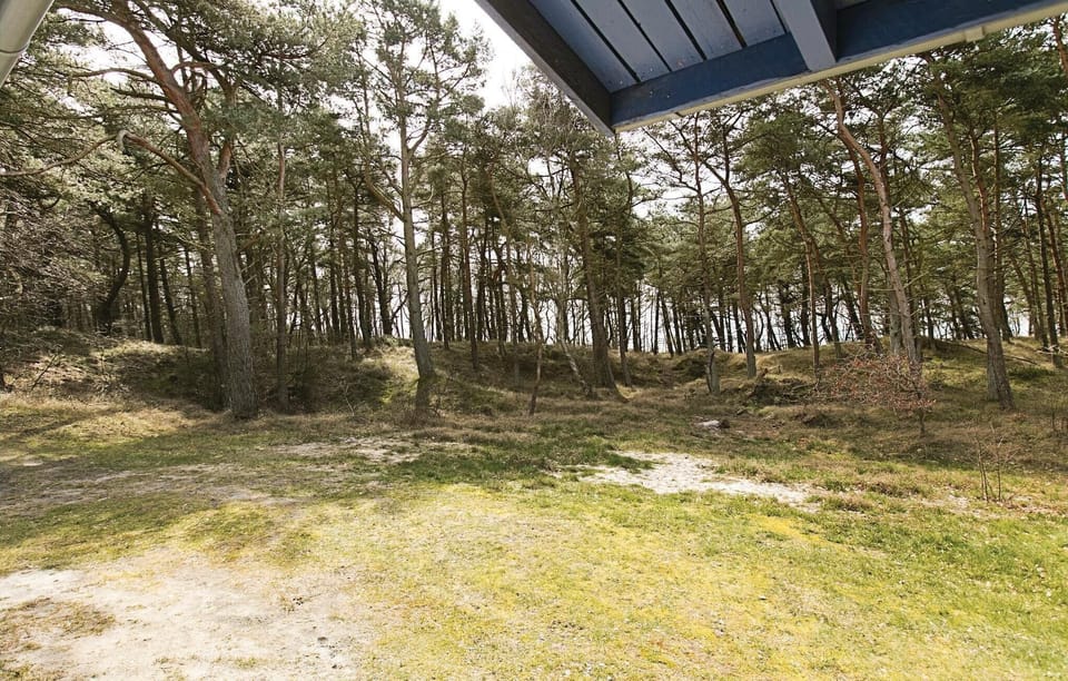area
