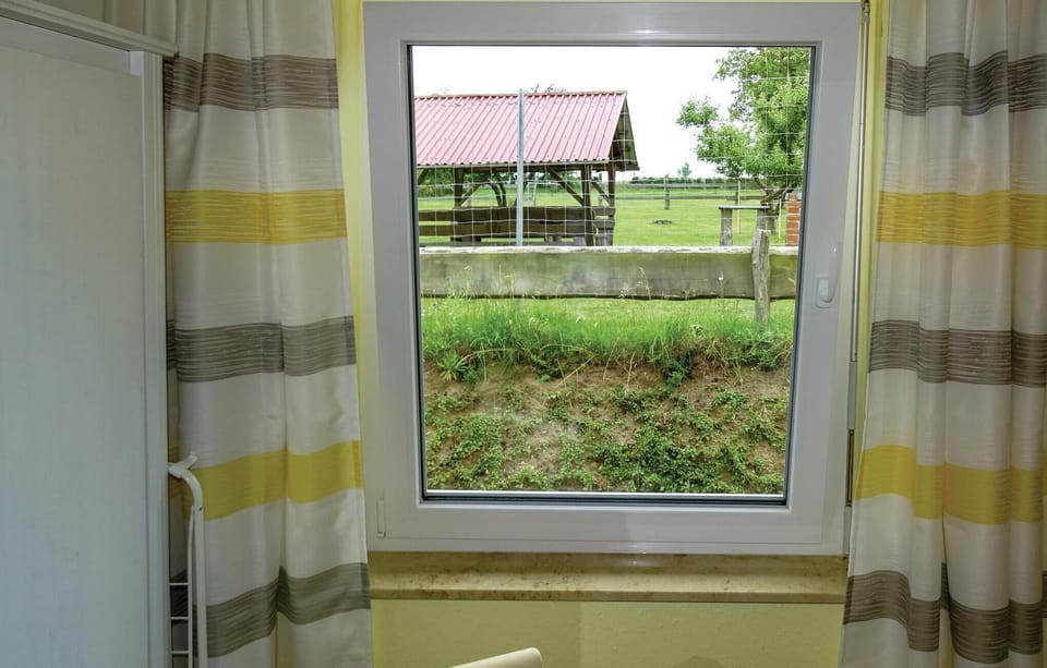 view-from-room