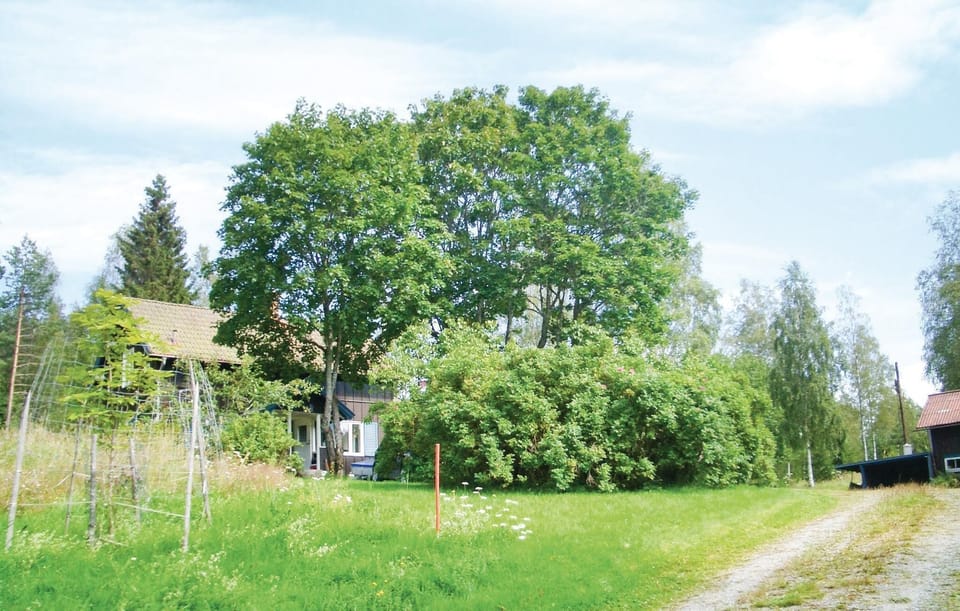 area