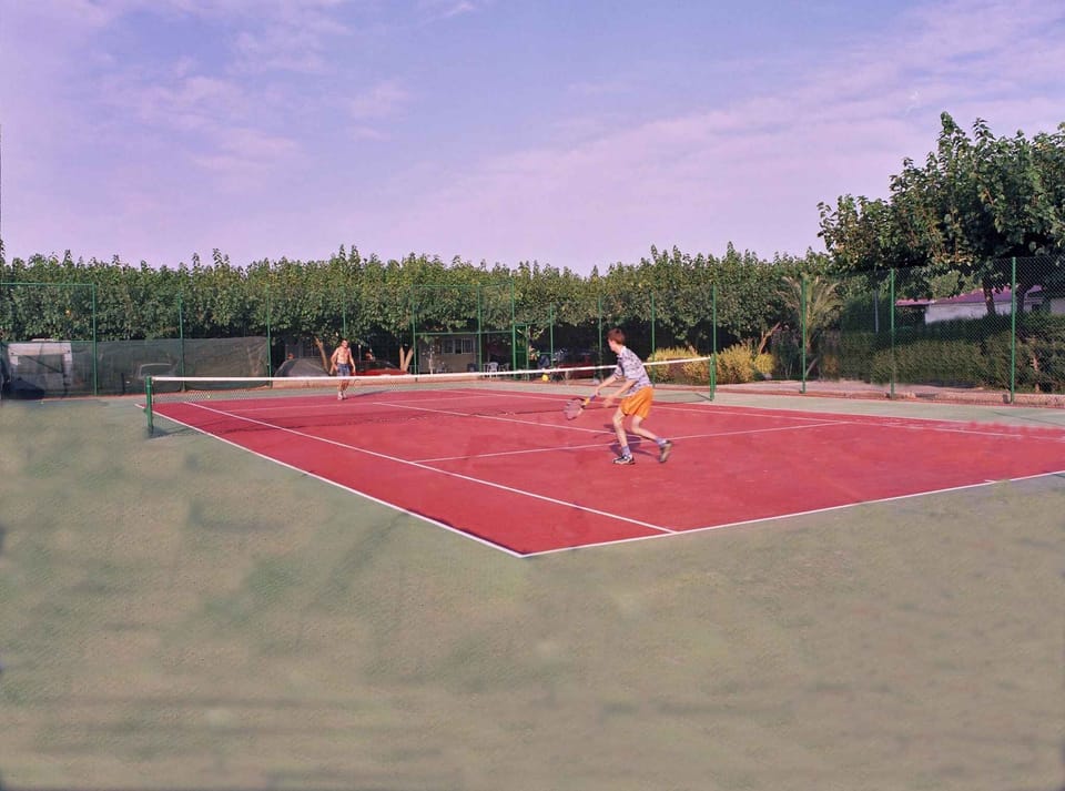 Sport court