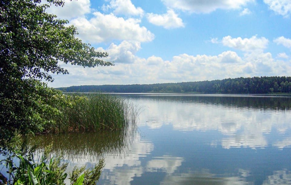 area