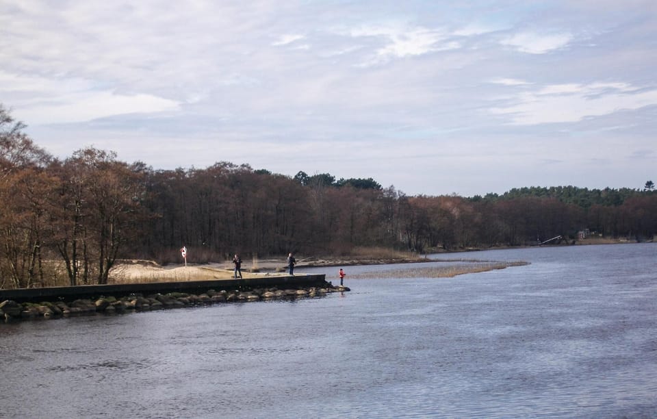 area