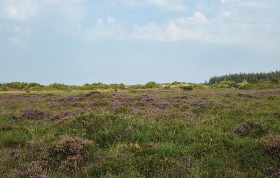 area