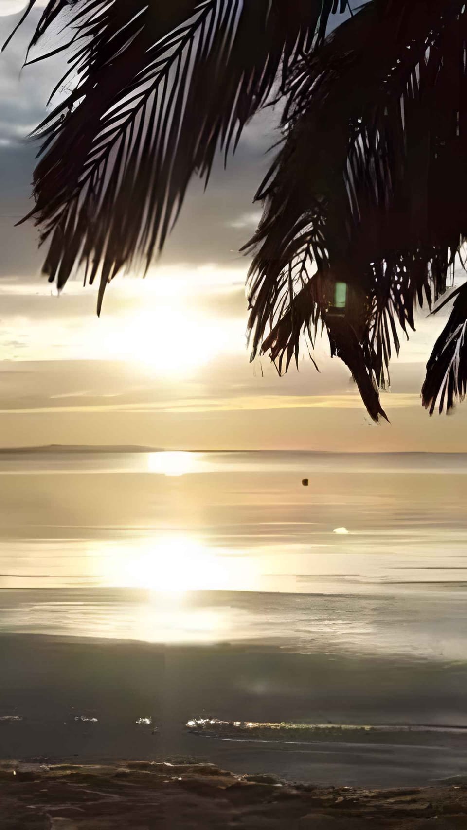 beach