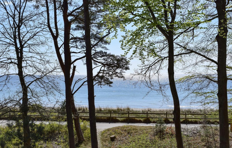 view-from-room