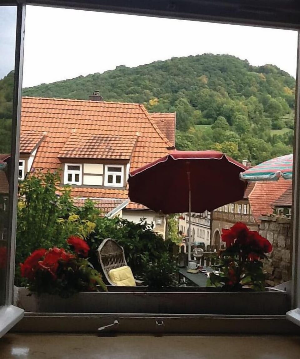 view-from-room