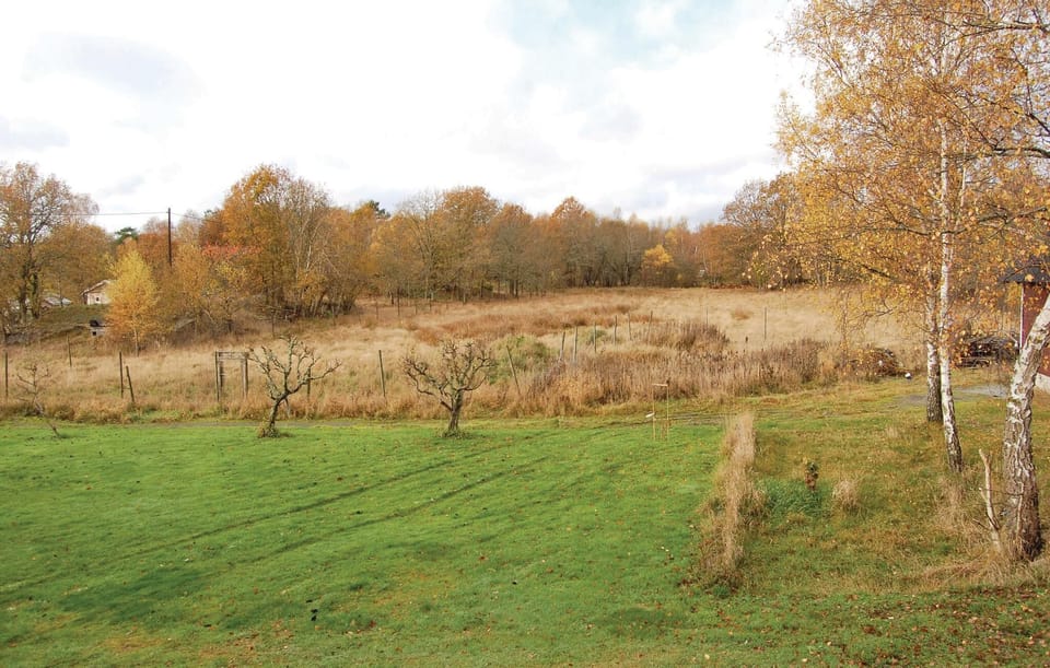 area