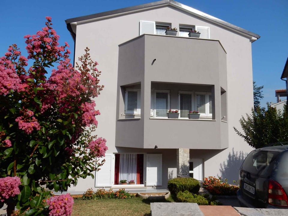 external view