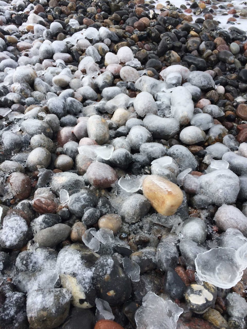 Miscellaneous
