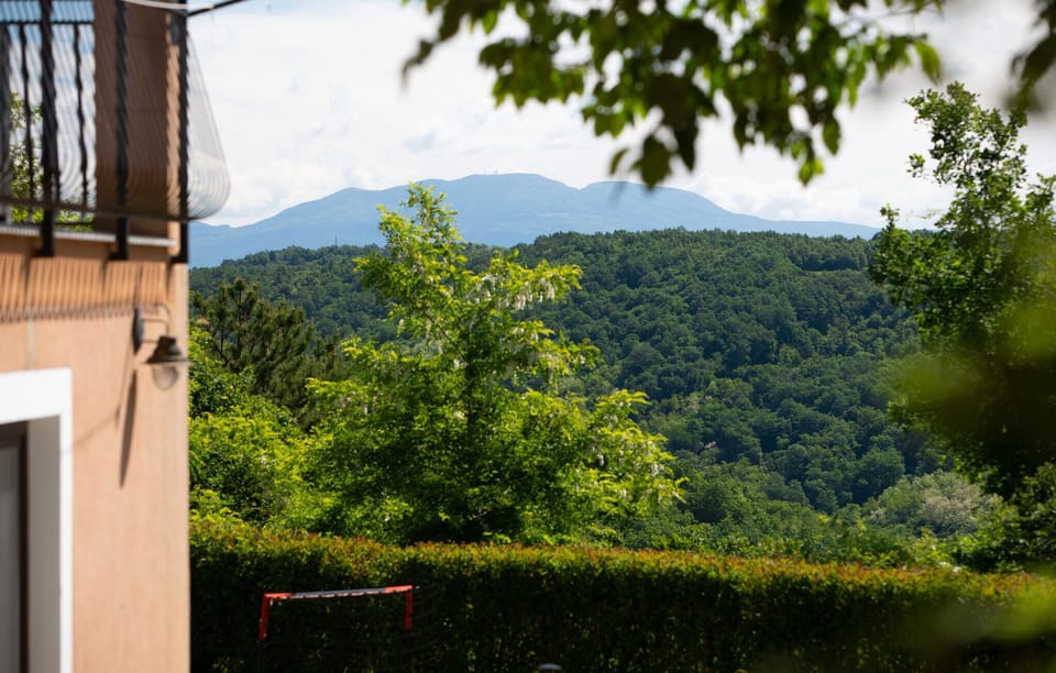 view-from-room