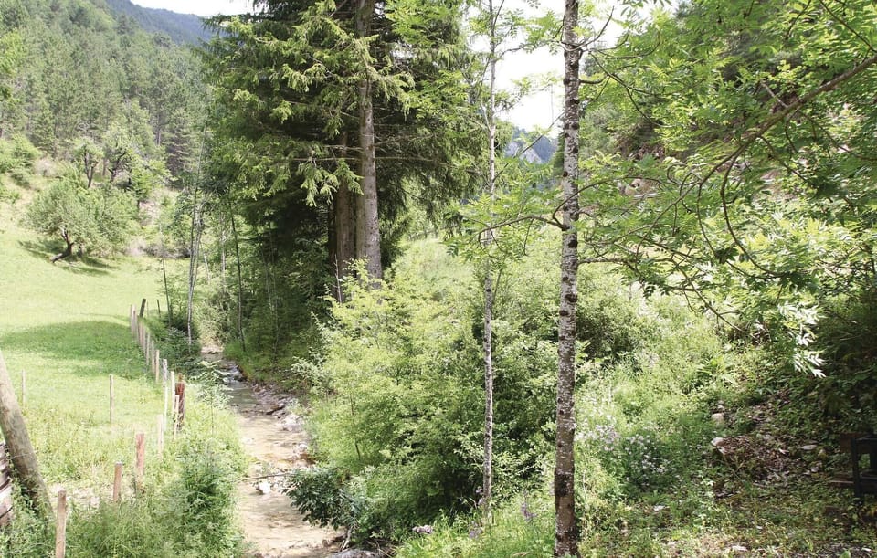 area