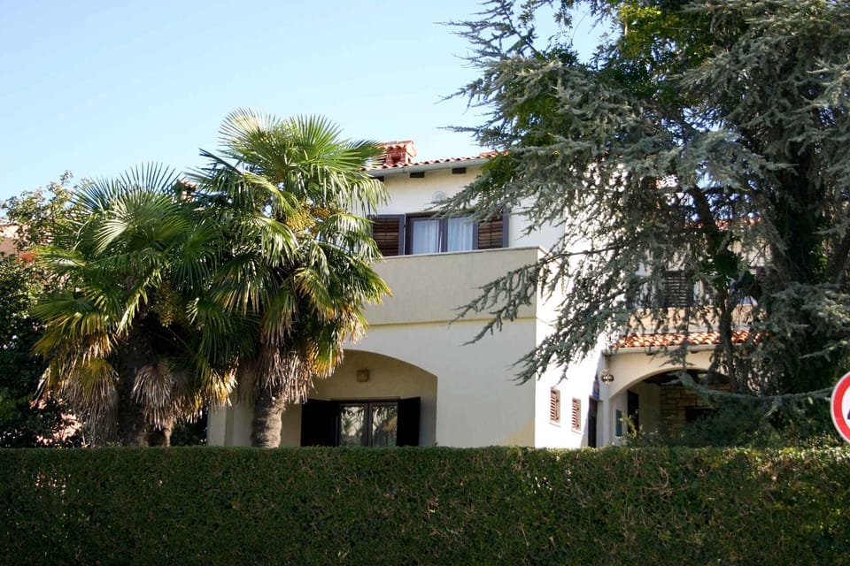 external view
