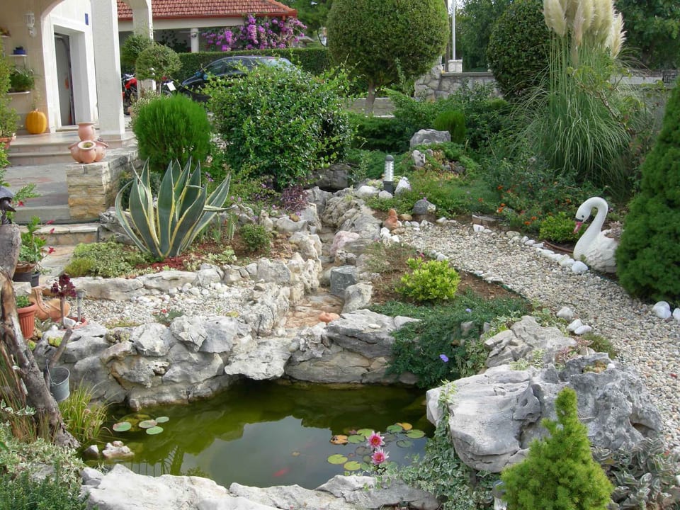 garden
