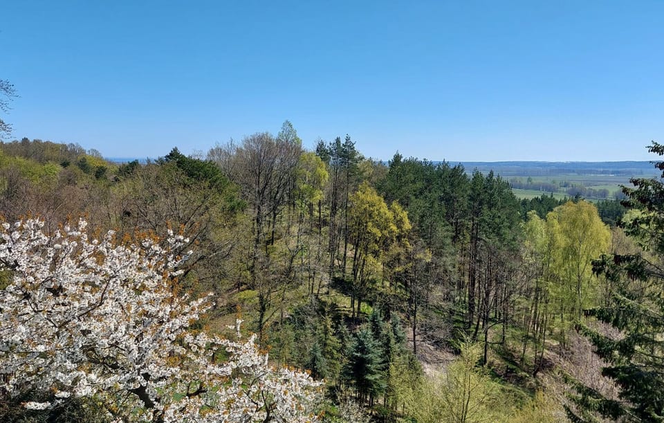 view-from-room