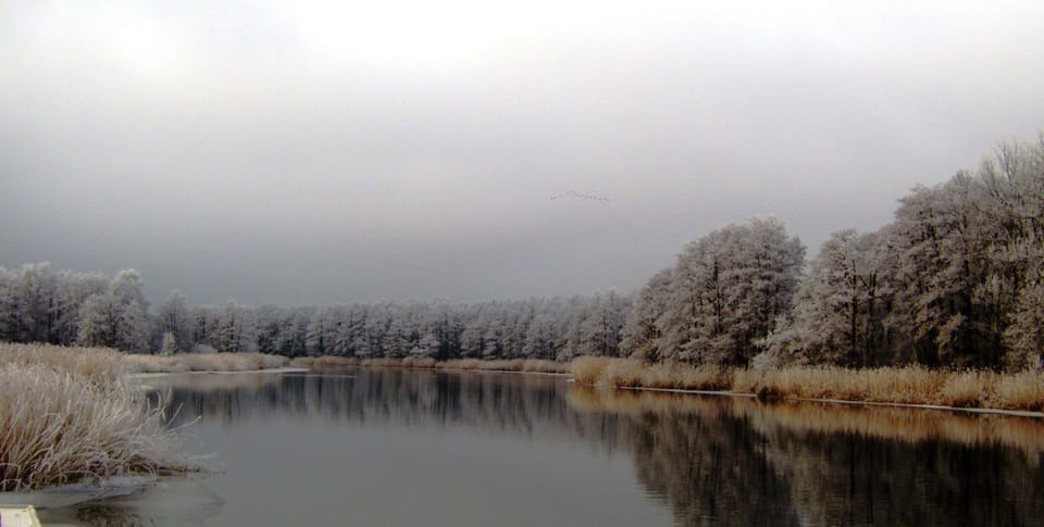 Family room 1 - Hotel & Restaurant Am Peenetal House in Mecklenburgische Seenplatte