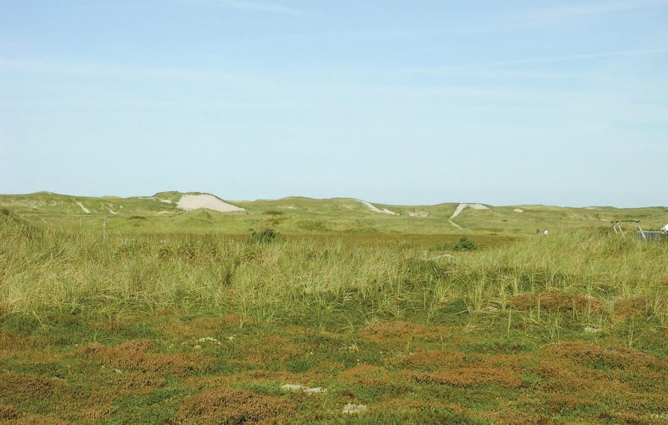 area