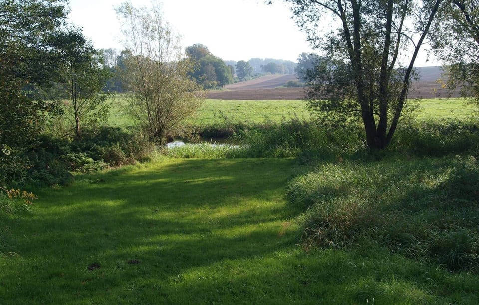 area
