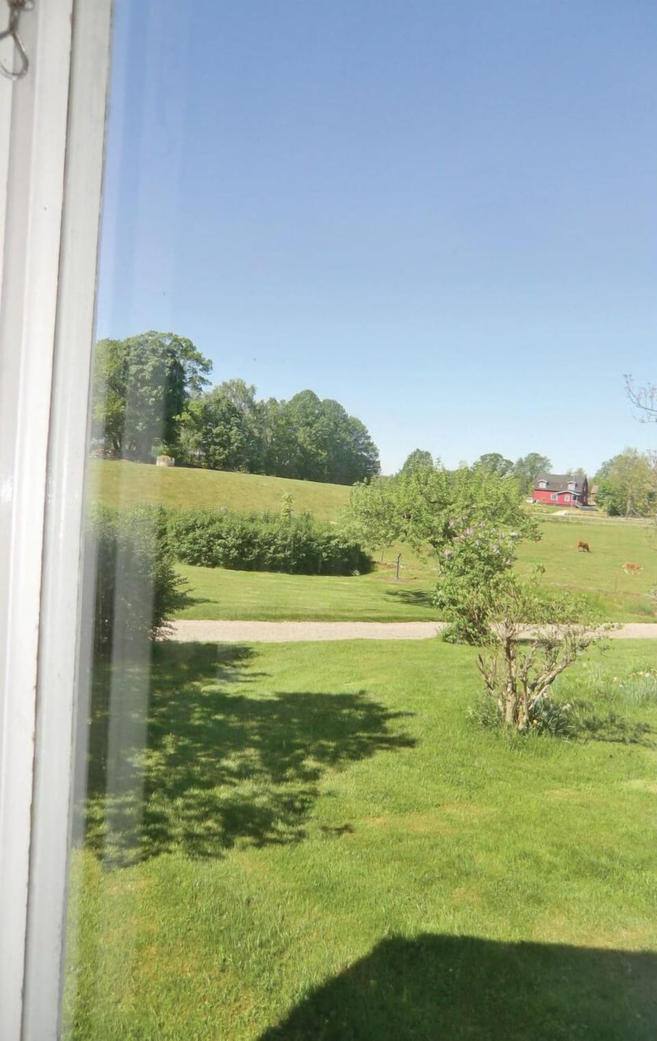 view-from-room