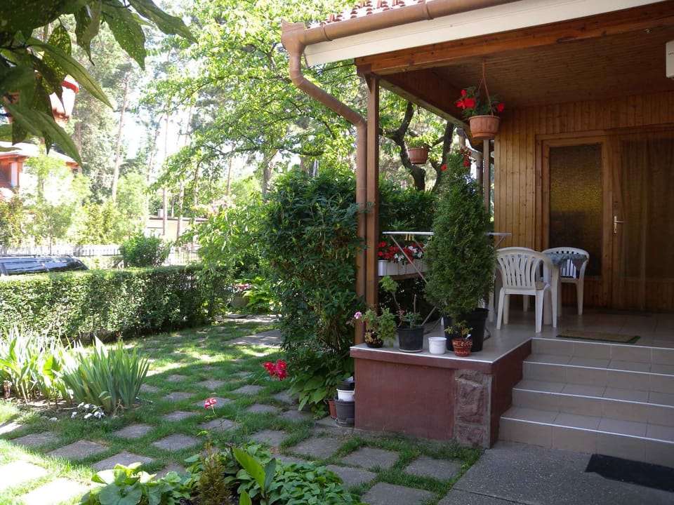 external view