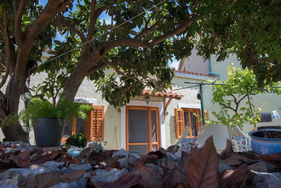 external view